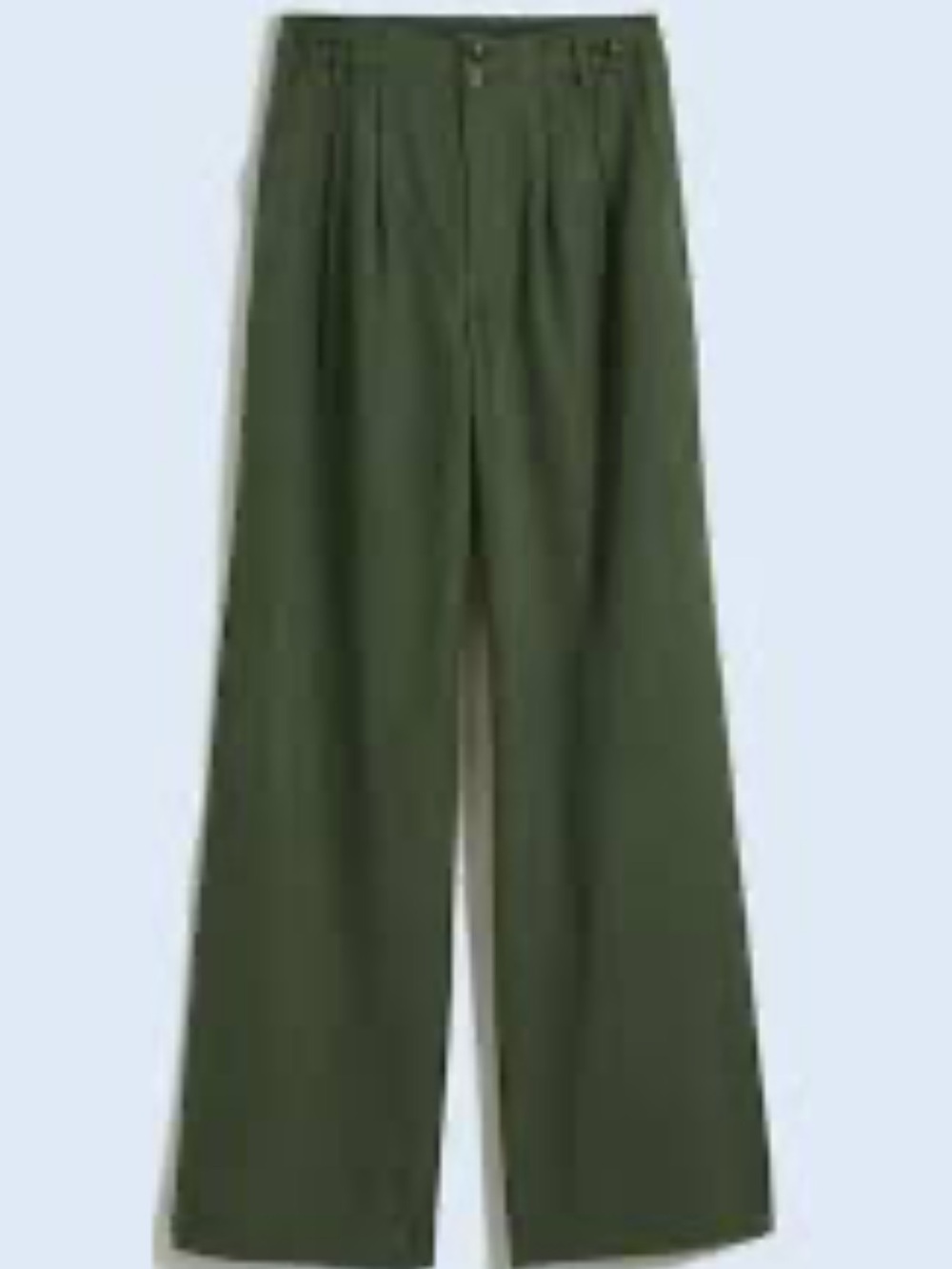 Madewell Olive Pleated Wide-Leg Chinos